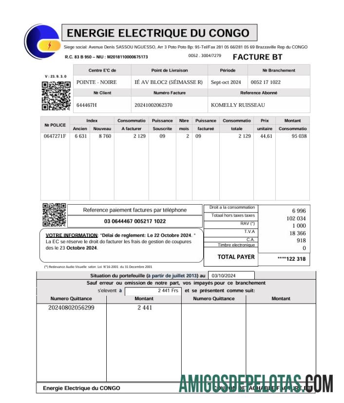 Energia elétrica do Congo a partir de contas de serviços públicos baixar para verificação
